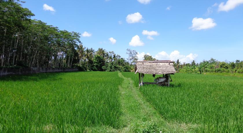 Angel House Ubud Eco Villa Екстер'єр фото